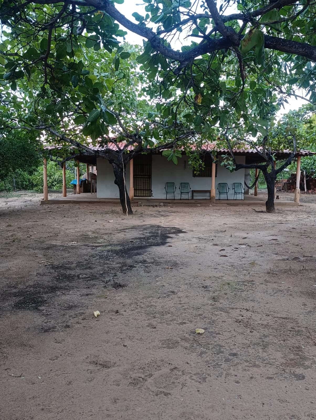 Chácara com Casa e Árvores Frutíferas à Venda em Laginhas – Pedro II/PI